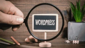 WordPress Themes