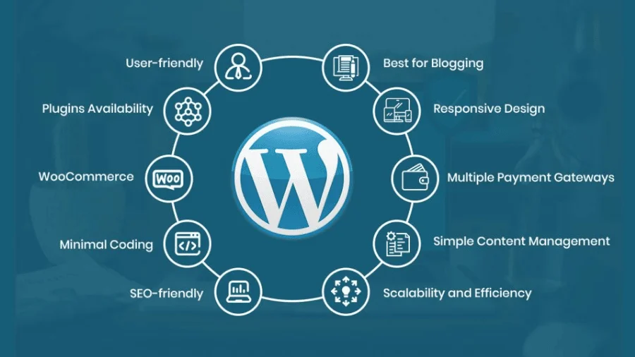 WordPress Backup Plugins